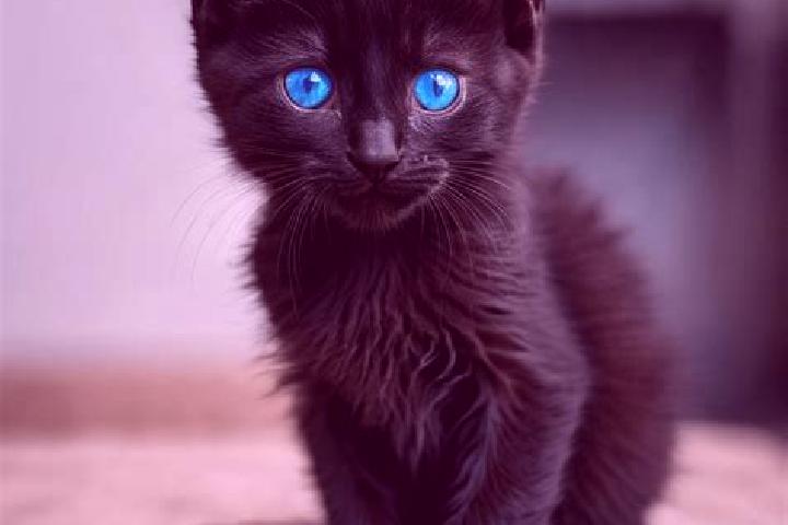 Quinn, 29, a black blue-eyed caribbean companion based in Harris. Offering Duos, Striptease, OWO. Available for incall and outcall, overnight bookings availa...