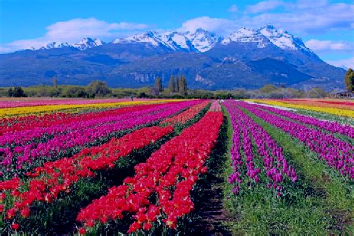 Quinn, 29 — Escort in Las Flores, Argentina