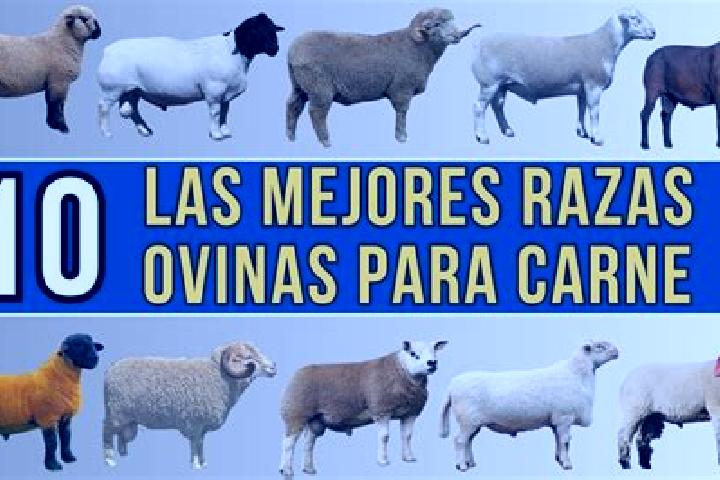 Quinn, 29 — Escort in Las Ovejas, Argentina