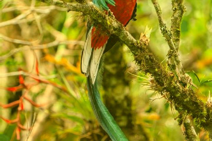 Quinn, 29 — Escort in Quetzal Edzna, Mexico