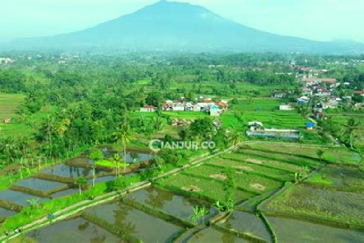 Quinn, 29 — Escort in Sukajadi, Indonesia