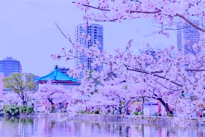 Quinn, 29 — Escort in Ueno-ebisumachi, Japan