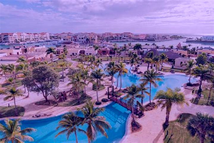 Quinn, 30, a black grey-eyed mixed companion based in Punta Cana. Offering Domination, Dinner Date, Striptease. Available for incall and outcall, day and eve...