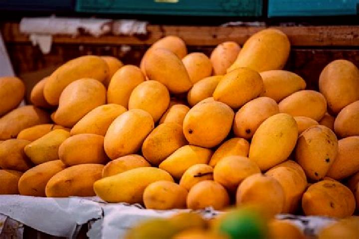 Quinn, 30 — Escort in Colonia Mangos (El Quemado), Mexico