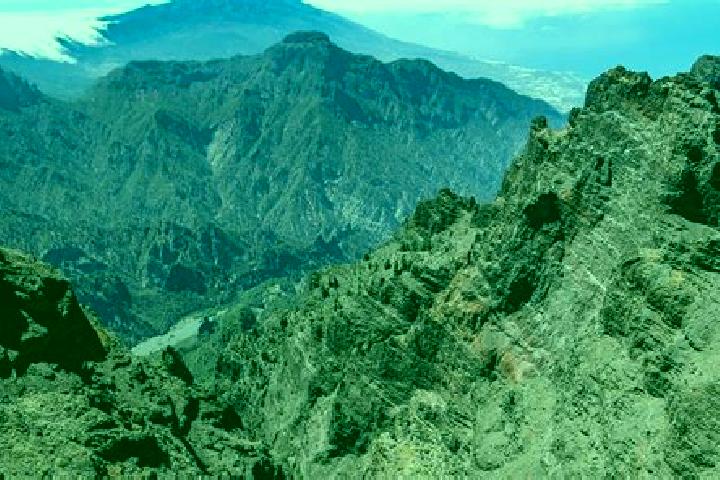 Quinn, 30 — Escort in La Palma Uno, Mexico