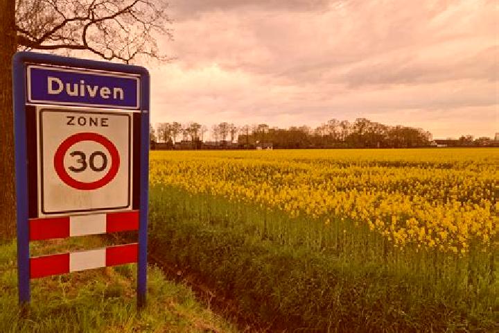 Quinn, 30 — Escort in Lobith, Netherlands