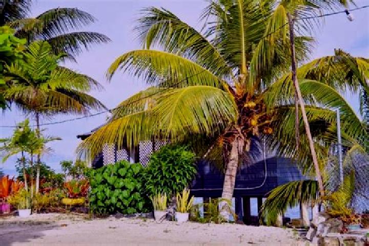Quinn, 30 — Escort in Matautu, Samoa