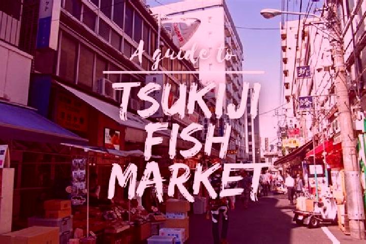 Quinn, 30 — Escort in Tsukiji, Japan