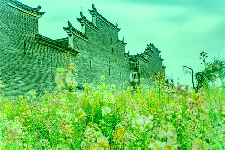 Quinn, 30 — Escort in Xiahu, China