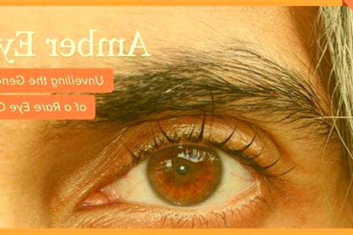 Quinn, 31, a black amber-eyed caribbean companion based in Abbenrode. Offering GFE, Deep French Kissing, OWO, Duos, Prostate Massage. Available for incall an...