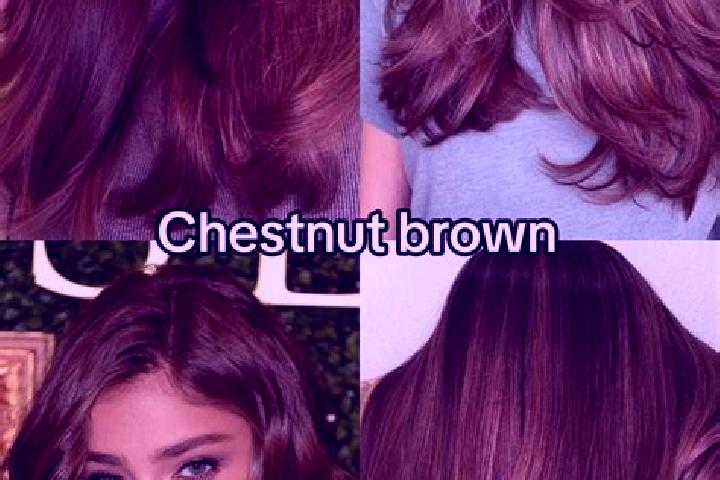 Quinn, 31, a chestnut dark-eyed mixed companion based in Noordwijk-Binnen. Offering Striptease. Available for incall and outcall, day and evening dates.