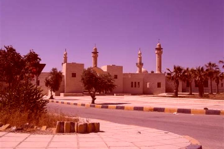 Quinn, 31 — Escort in Al Jafr, Jordan