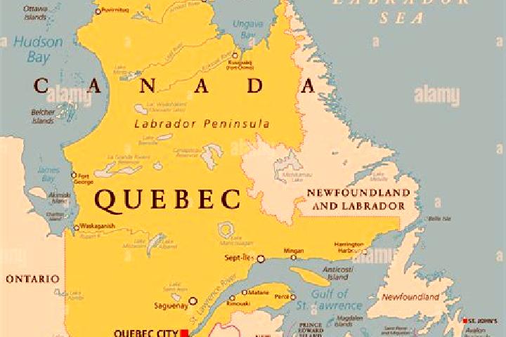 Quinn, 31 — Escort in Central Lonsdale, Canada