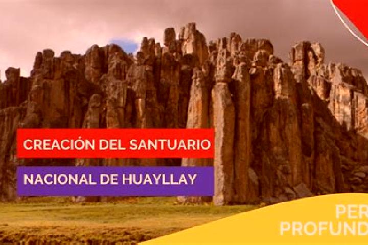 Quinn, 31 — Escort in Huayllay Grande, Peru