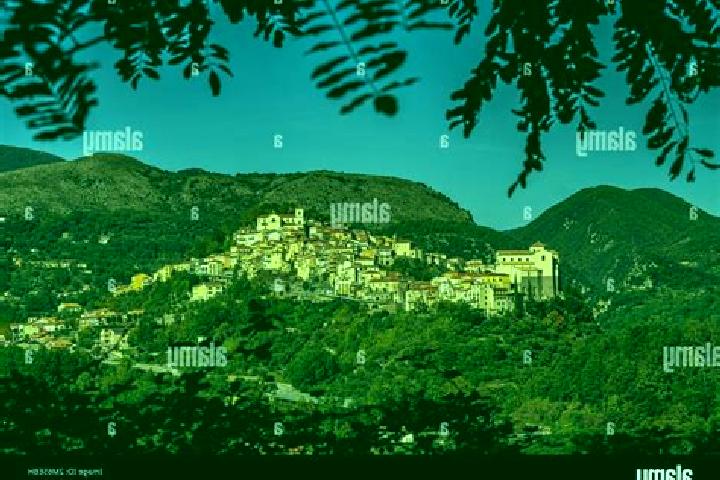 Quinn, 31 — Escort in Rivello, Italy
