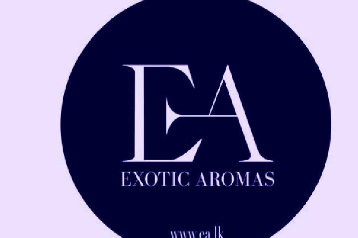 Quinn, 32 — Escort in Aromas, France