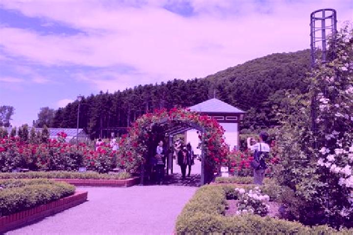 Quinn, 32 — Escort in Iwamizawa, Japan