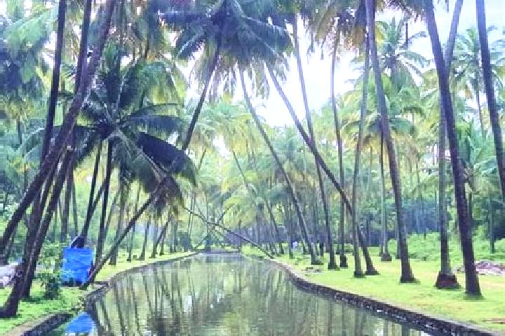 Quinn, 32 — Escort in Kunnamkulam, India