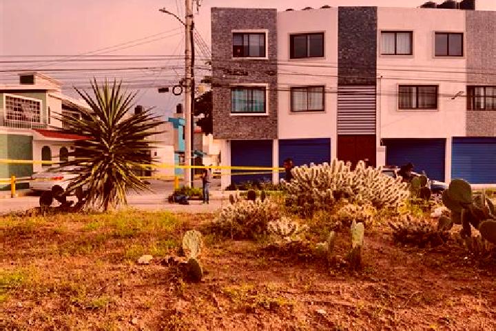 Quinn, 32 — Escort in Parque de Poblamiento Solidaridad, Mexico