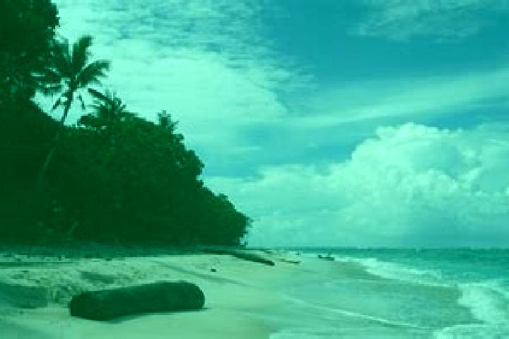 Quinn, 32 — Escort in Sonsorol Village, Palau