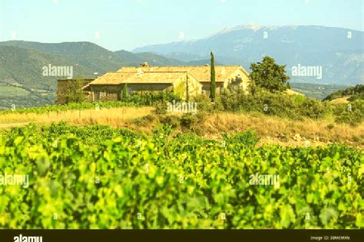Quinn, 32 — Escort in Vinsobres, France