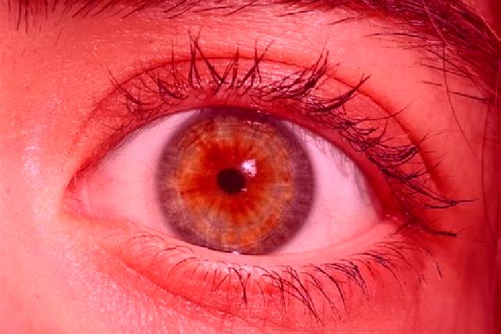 Quinn, 33, a red hazel-eyed european companion based in Loesnich. Offering Prostate Massage, Dinner Date, A-Level, Striptease. Available for incall and outca...
