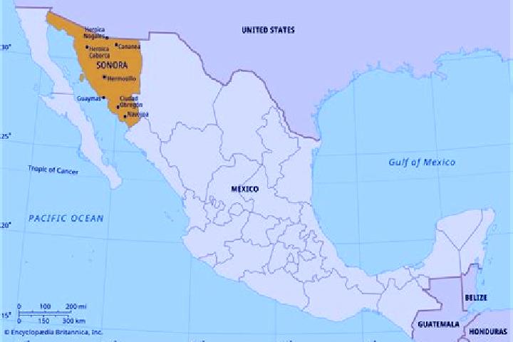 Quinn, 33 — Escort in Colonia Sonora, Mexico