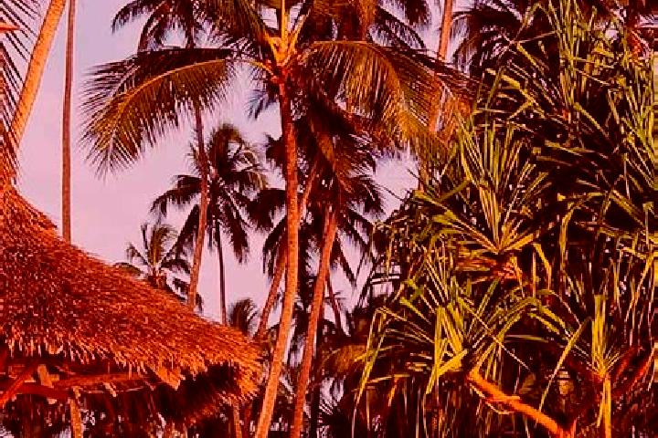 Quinn, 33 — Escort in Malampaka, Tanzania