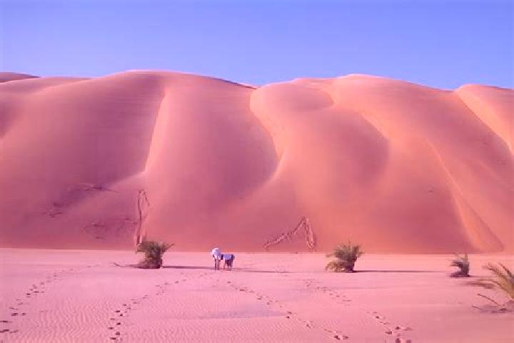 Quinn, 33 — Escort in Ouad Naga, Mauritania