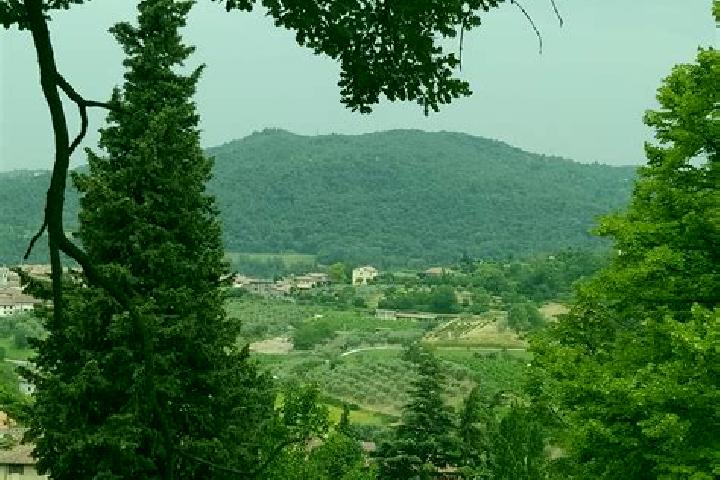 Quinn, 33 — Escort in Roe Volciano, Italy