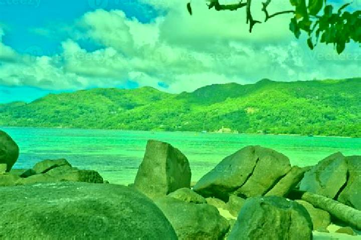 Quinn, 34 — Escort in Anse Royale, Seychelles
