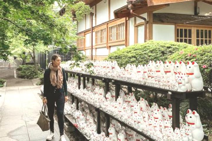 Quinn, 34 — Escort in Gotokuji, Japan