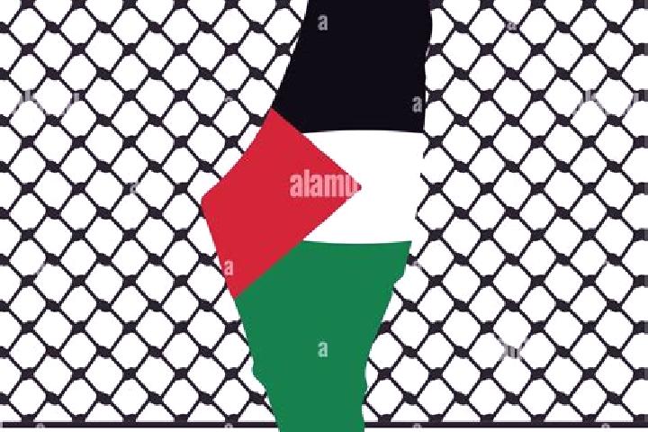 Quinn, 34 — Escort in Hablah, Palestine