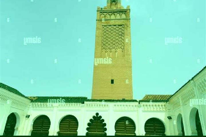 Quinn, 34 — Escort in Mansourah, Algeria