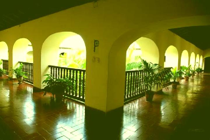 Quinn, 34 — Escort in Najasa, Cuba