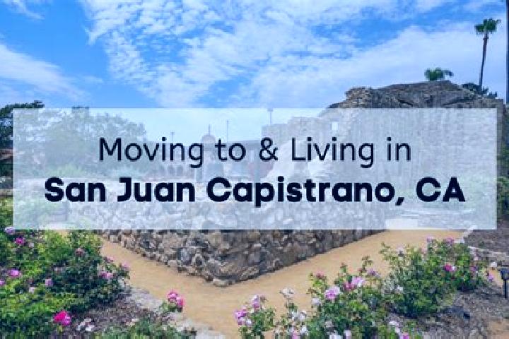 Quinn, 34 — Escort in San Juan Capistrano, Mexico