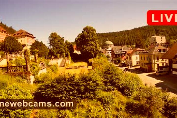 Quinn, 34 — Escort in Sankt Blasien, Germany