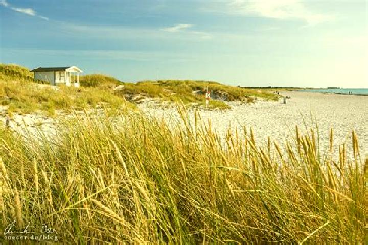 Quinn, 34 — Escort in Skanoer med Falsterbo, Sweden