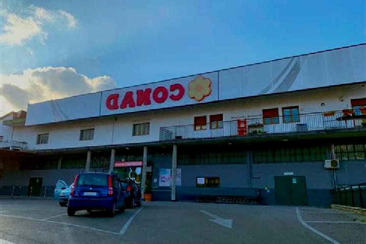Quinn, 34 — Escort in Urgnano, Italy