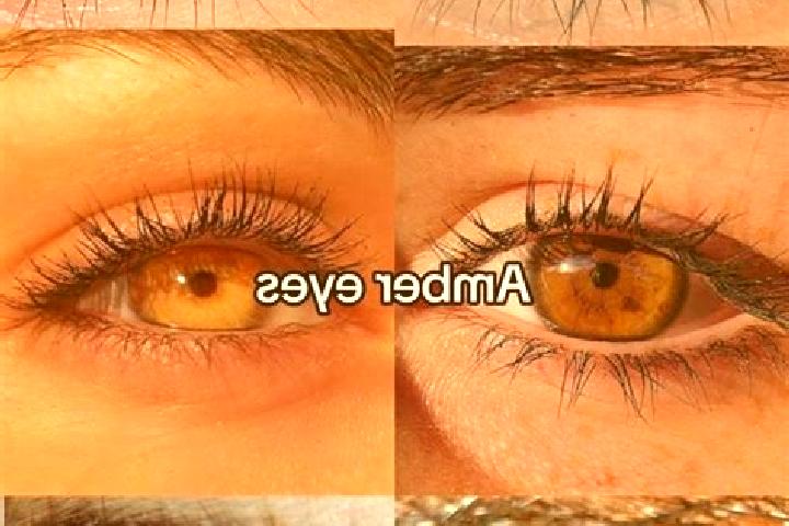 Quinn, 35, a chestnut amber-eyed ebony companion based in Rye. Offering Girlfriend Experience, Overnight, CIM. Available for incall and outcall, overnight bo...
