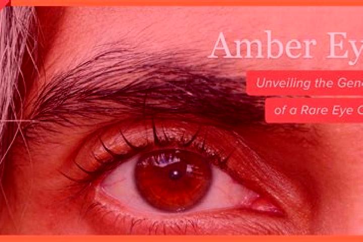 Quinn, 35, a red amber-eyed caucasian companion based in Lehrberg. Offering CIM, Fetish, BDSM, Overnight. Available for incall and outcall, day and evening d...