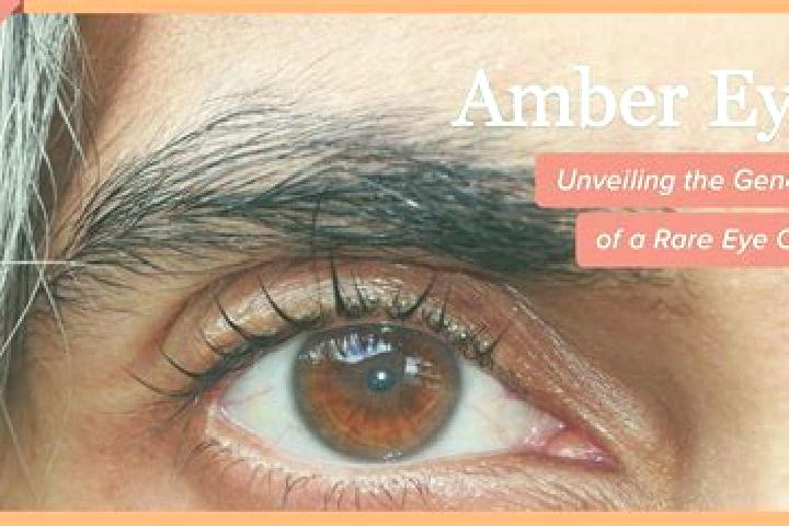 Quinn, 35, a red amber-eyed middle eastern companion based in Ubachsberg. Offering Deep French Kissing, Girlfriend Experience, Couples, 69. Available for inc...