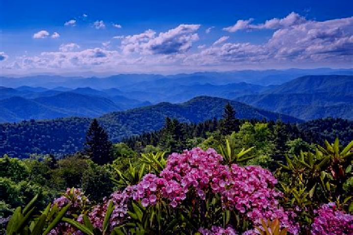 Quinn, 35 — Escort in Appalachia, United States