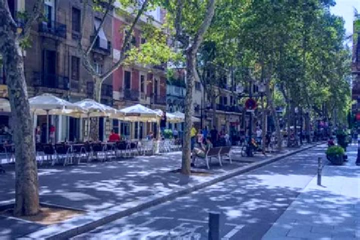 Quinn, 35 — Escort in Barri de Sant Andreu, Spain