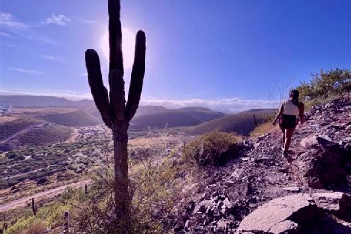 Quinn, 35 — Escort in Cerro de Piedra, Mexico