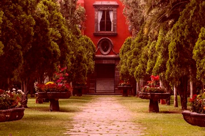 Quinn, 35 — Escort in Hacienda San Pedro, Mexico