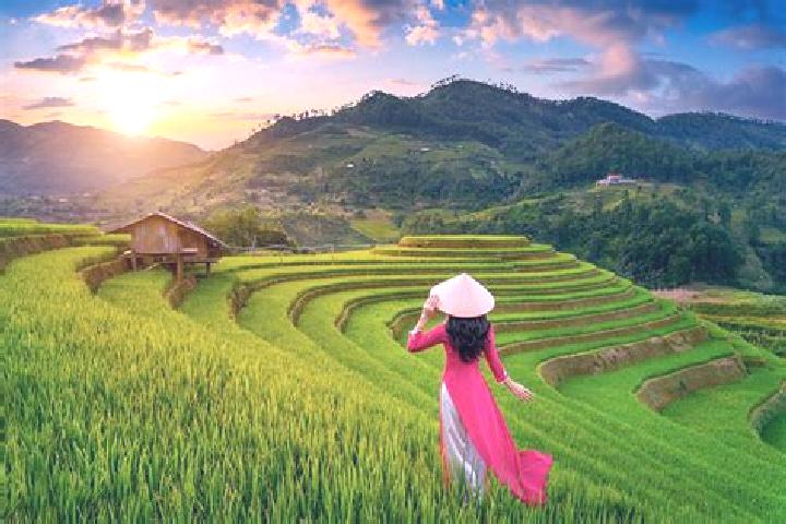 Quinn, 35 — Escort in Mu Cang Chai, Vietnam