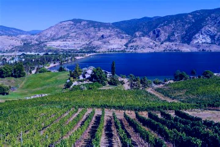 Quinn, 35 — Escort in Okanagan Mission, Canada