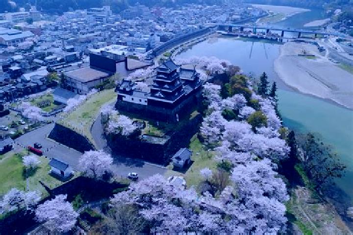 Quinn, 35 — Escort in Ozu, Japan
