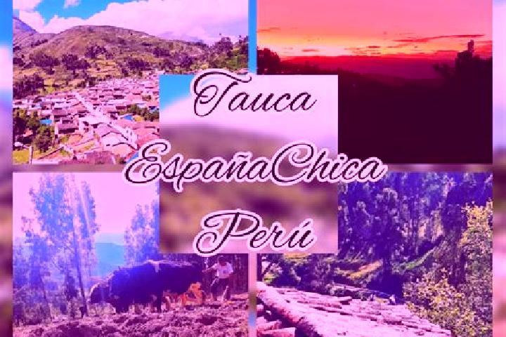 Quinn, 35 — Escort in Tauca, Peru